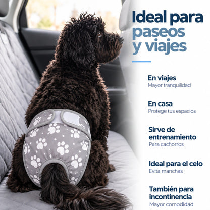 Pañal Absorbente Lavable para Perra · Incontinencia y Celo · Mimos®