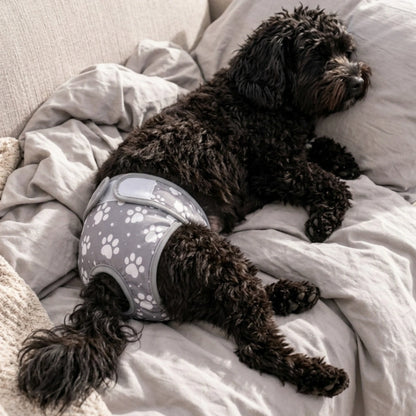 Pañal Absorbente Lavable para Perra · Incontinencia y Celo · Mimos®