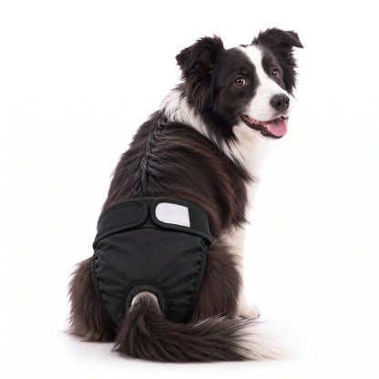 Pañal Absorbente Lavable para Perra · Incontinencia y Celo · Mimos®